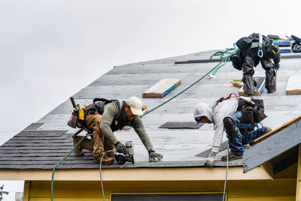 Professional Roof Repair technician working in Lamont, MI