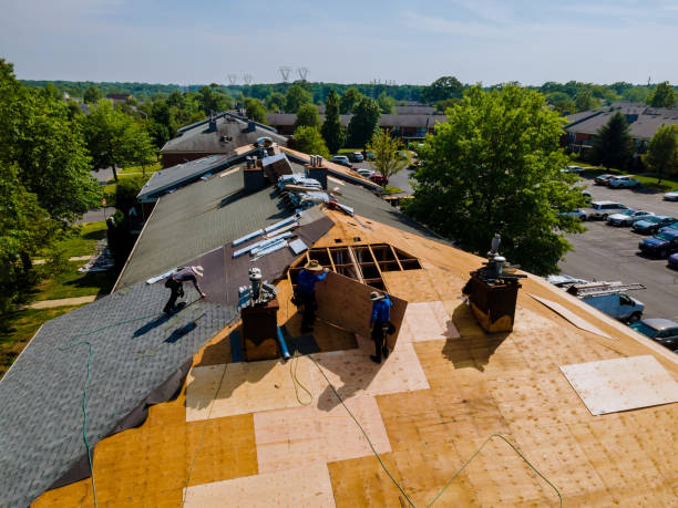 24/7 Emergency Roof Repair experts in Lamont, MI